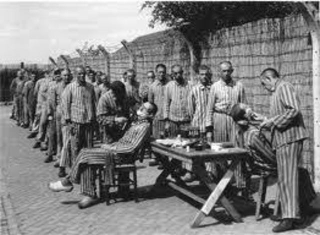 deportations Netherlands