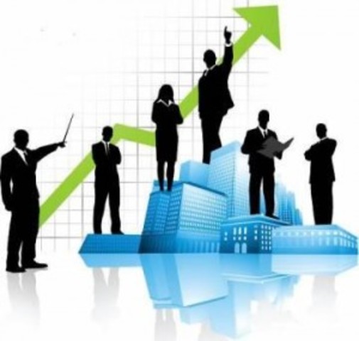 TEORIA ORGANIZACIONAL