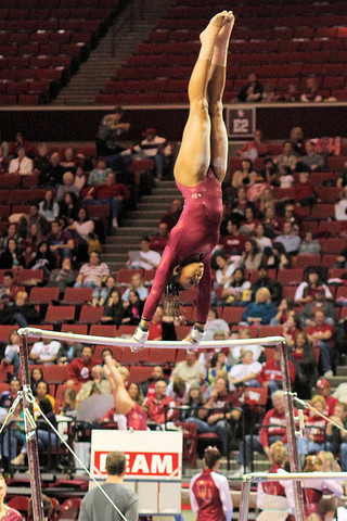 Anysa Joins the Gymnastics Team- Identity vs. Identity Confusion
