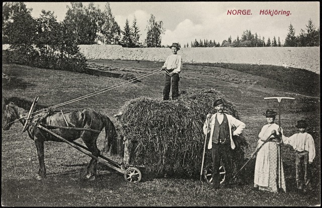 Flertall av bønder på Stortinget