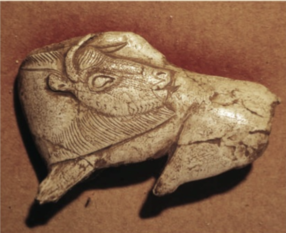 Bison with Turned Head,