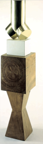 torso of a young man