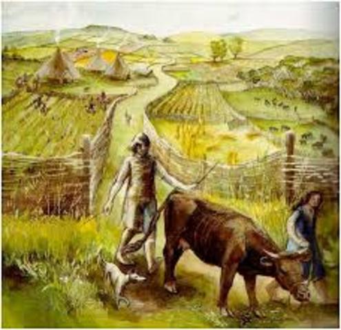 5000 V.C landbouw in Frankrijk