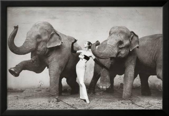 Richard Avedon