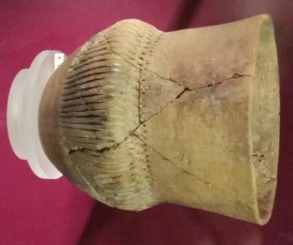 trechterbeker in Douwen