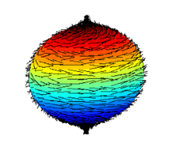 The hairy ball theorem is first proved