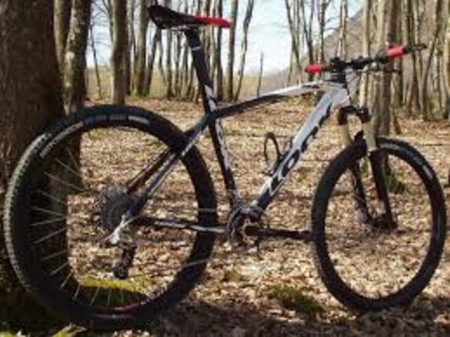 Bicicleta de montaña