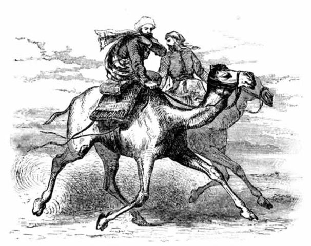 Muhammad flees from Mecca