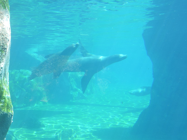 My 4th grade trip to the zoo.