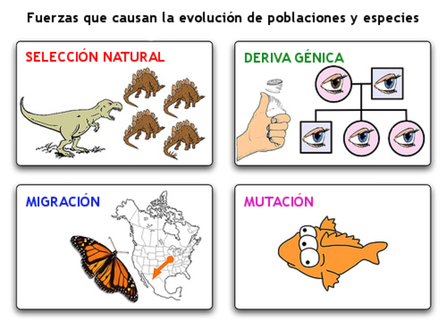 Teoría Neodarwinismo