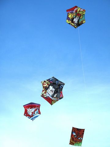 Amir and Sohrab Runs a Kite