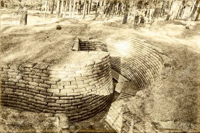 Estalla la Primera Guerra Mundial