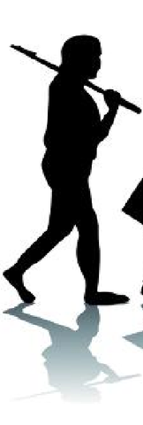 La Variabilidad de las poblaciones y la selección natural. | Charles Darwin y Alfred Russel Wallace