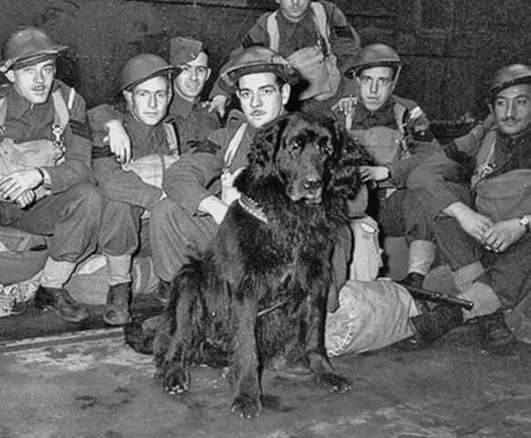 Japanese attack Royal rifles