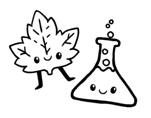 Feria del conocimiento