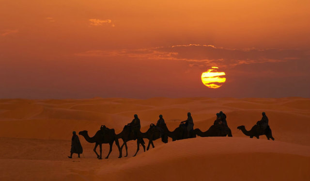 Muhammad worked as caravan agent for a wealthy widow, Khadija.