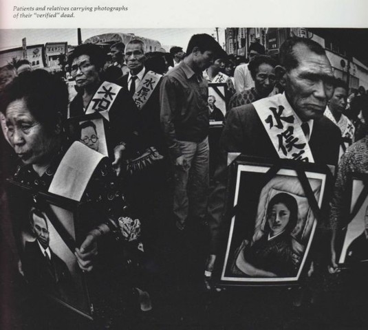 Enfermetat a Minamata