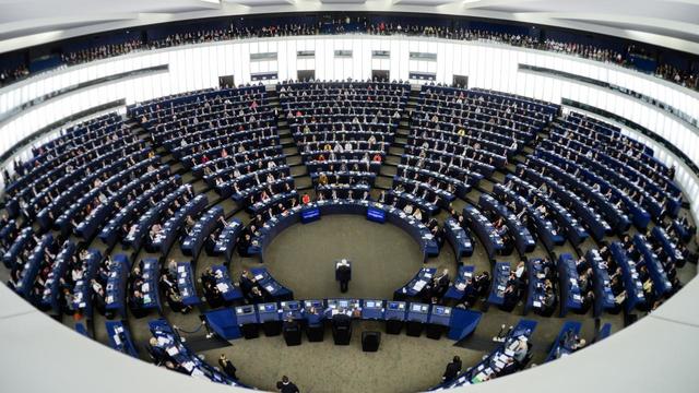 Piratenpartij Zweden in Europees Parlement