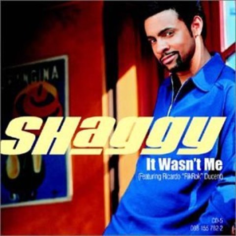 A popular piece, Shaggy's song with RikRok, "It Wasn't Me" is released