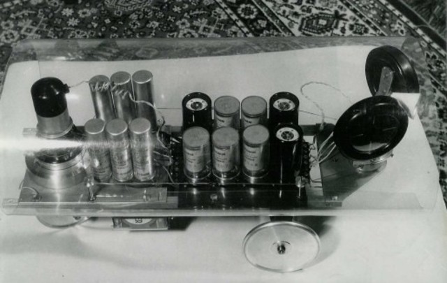 Tortue cybernétique