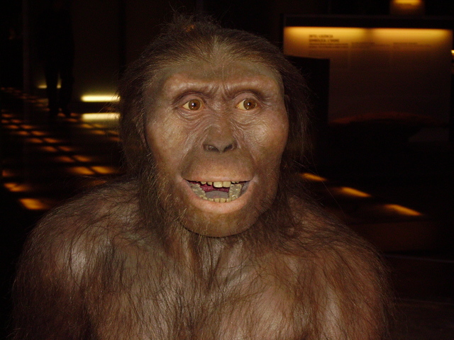 LOS AUSTRALOPITHECUS