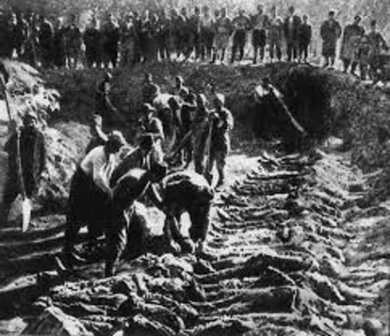 Armenian Genocide