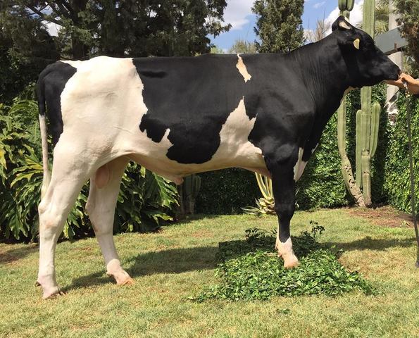 Adquisición Negocio