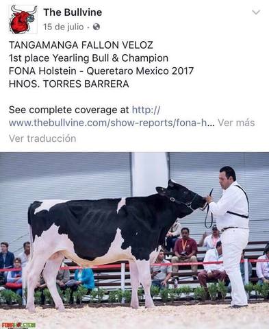 Adquisición Negocio