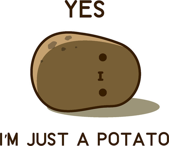 5.	The first potato ever planted in new Hampshire was in Londonderry field in 1719