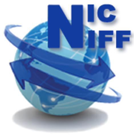 Desarrollo NIC-NIFF