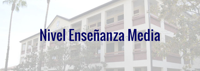 España, Enseñanza Media