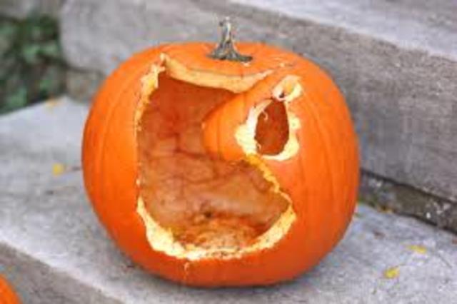 Pumpkin is dead now