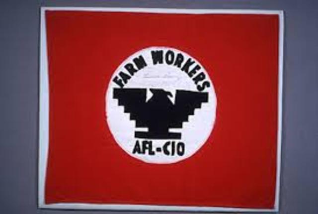 Chavez Creates the NFWA