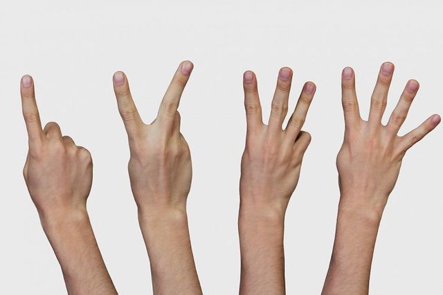 Sharing information through signs and symbols