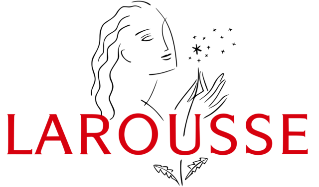 Diccionario Larousse