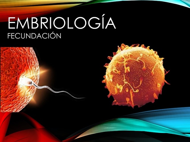 FECUNDACIÓN