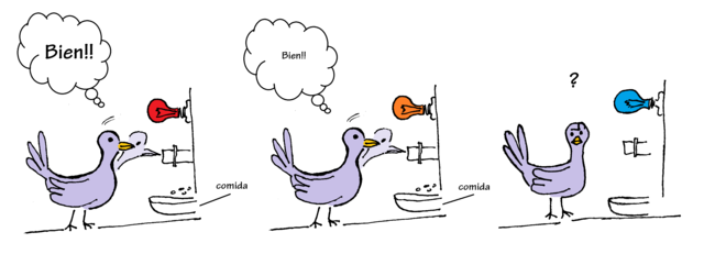 Condicionamiento Operante -  Frederic Skinner