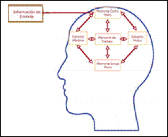 Representante teoría cognitivista - Joseph Novak