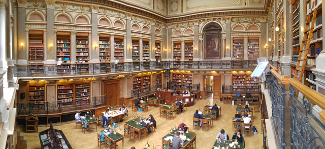 Szakdolgozati téma átgondolása