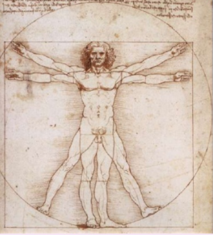 EL RENACIMIENTO ( XV - XVI)