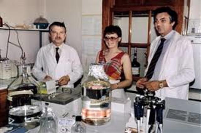 DESCUBRIMIENTO DEL VIRUS