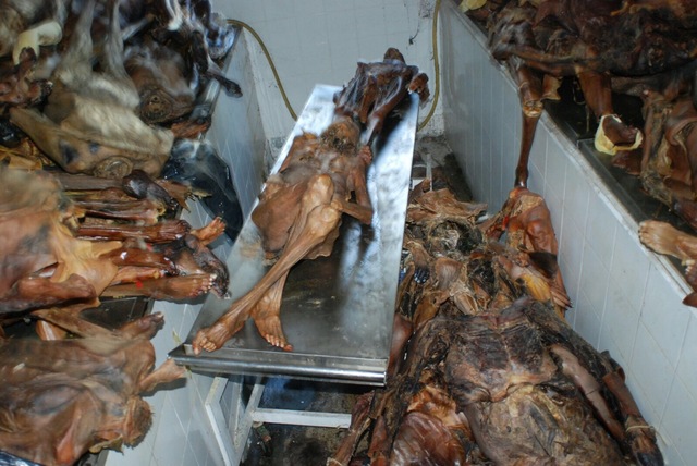 Dirección de Juan Ramón Mérida Velasco