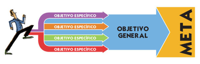 Objetivos específicos