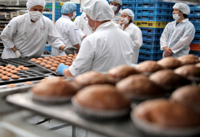 NUEVA PLANTA DE PRODUCCIÓN-RAMO