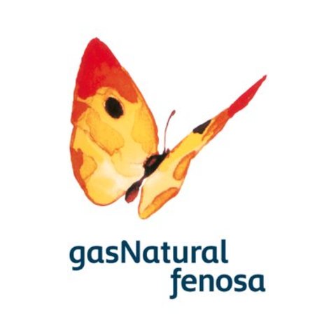 NACE LA FUNDACIÓN GAS NATURAL