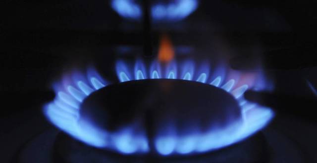 PRESENCIA EN EL SECTOR ELÉCTRICO