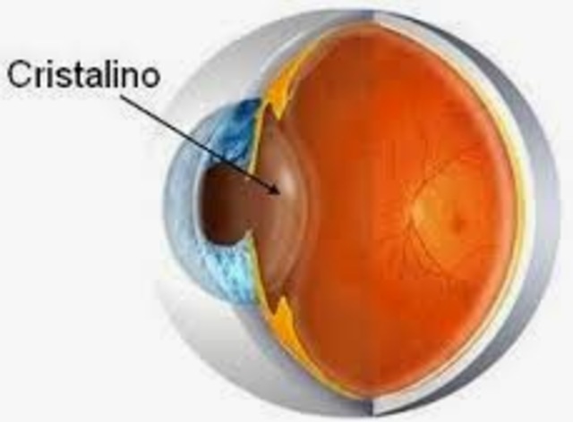Cristalino