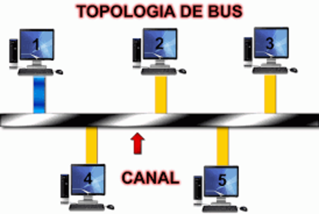 tipologia bus