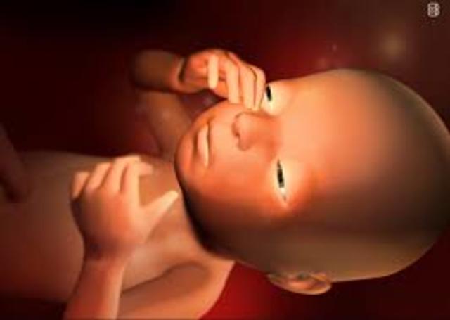 Semana 27 Se abren y Cierran los ojos