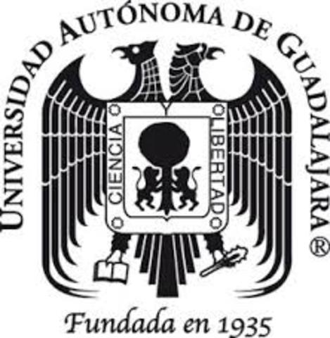 La Tutoría en México Licenciatura